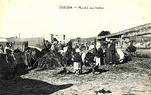 BIVEN Georges - 252- Oujda